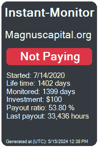 magnuscapital.org Monitored by Instant-Monitor.com